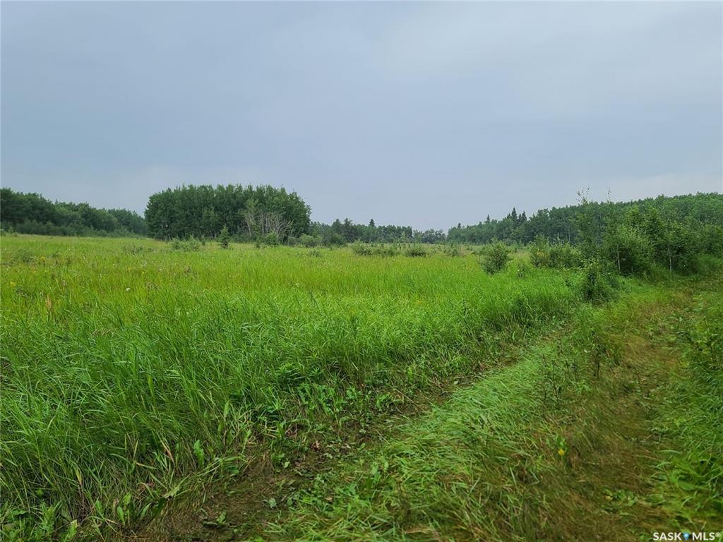 Millar 79.26 Acres, Rm of Mervin #499, SK032747, Saskatchewan,