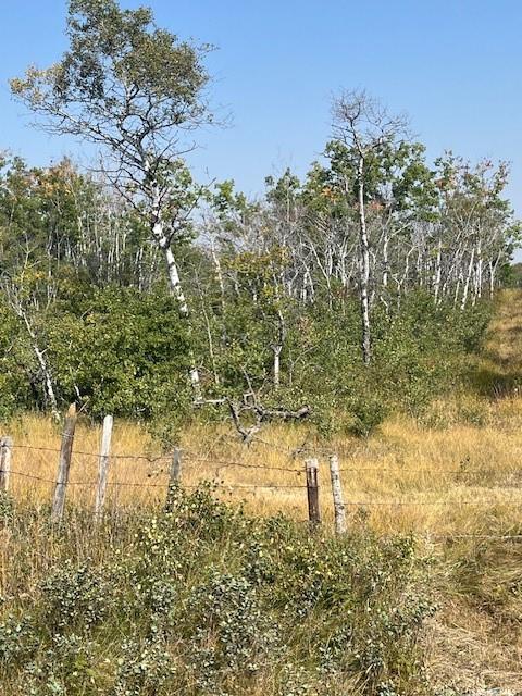 Second View of Pasture Rd. Acreage Site, Corman Park Rm No. 344, Saskatchewan, S0K 2L0