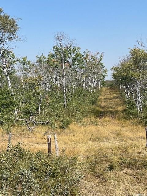 Fourth View of Pasture Rd. Acreage Site, Corman Park Rm No. 344, Saskatchewan, S0K 2L0