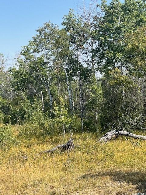 Fifth View of Pasture Rd. Acreage Site, Corman Park Rm No. 344, Saskatchewan, S0K 2L0