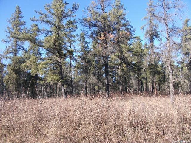 5-3 lot 1.20 Acres, SK033181, Saskatchewan,