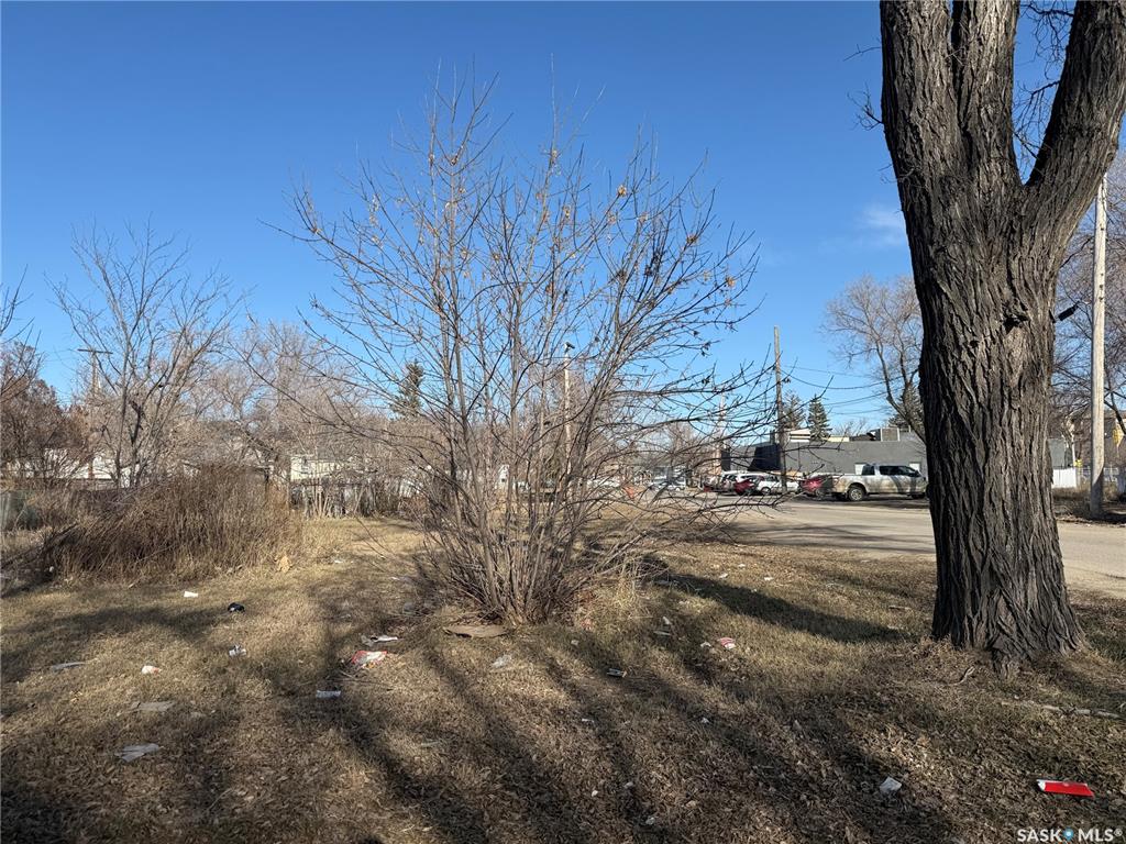 MLS® listing #SK033225 for sale located at 1455 Edward Street