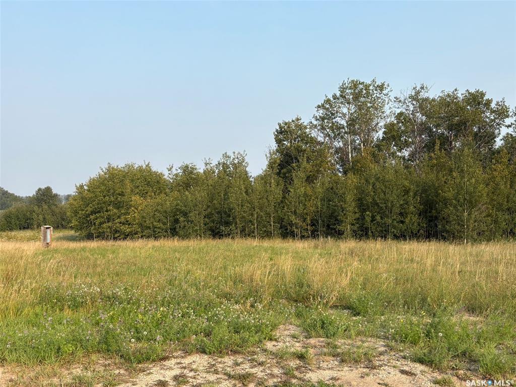 Second View of Lot 4 Block 2 Aspen Ridge, Spiritwood Rm No. 496, Saskatchewan, S0J 2M0
