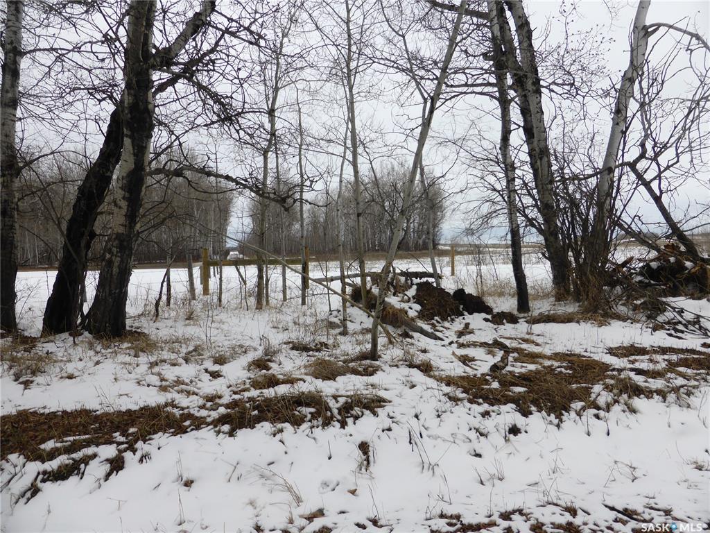 Second View of 10 Acres N of Paradise Hill, Frenchman Butte Rm No. 501, Saskatchewan, S0M 2G0