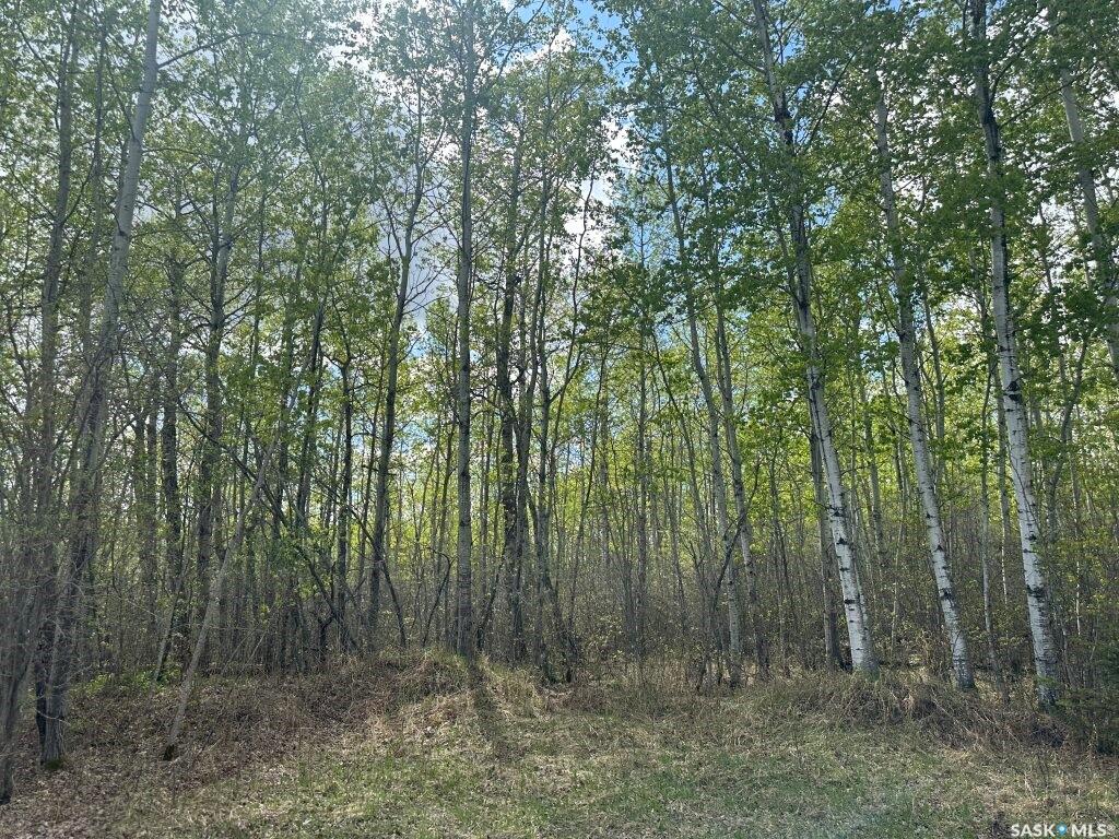 Second View of K Cottage Road, Kopp's Kove (Mervin Rm No.499), Mervin Rm No.499, Saskatchewan, S0M 1J0