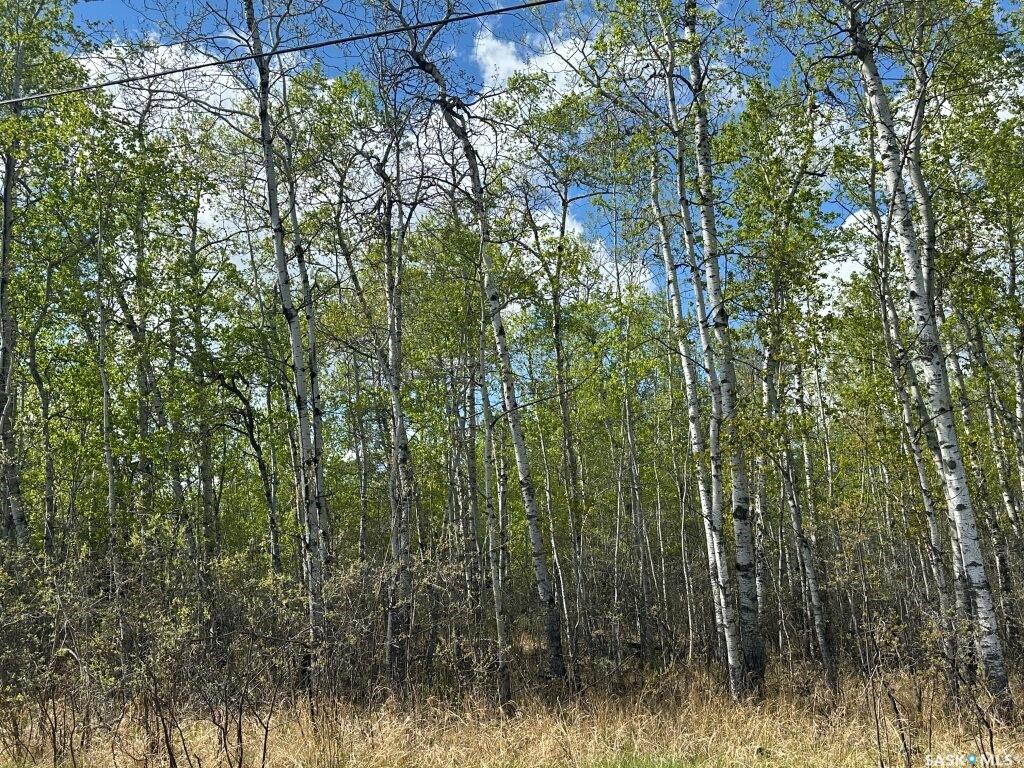 Third View of K Cottage Road, Kopp's Kove (Mervin Rm No.499), Mervin Rm No.499, Saskatchewan, S0M 1J0
