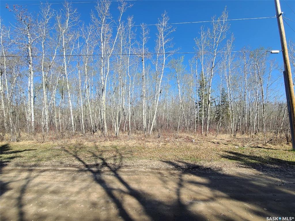 Fourth View of K Cottage Road, Kopp's Kove (Mervin Rm No.499), Mervin Rm No.499, Saskatchewan, S0M 1J0