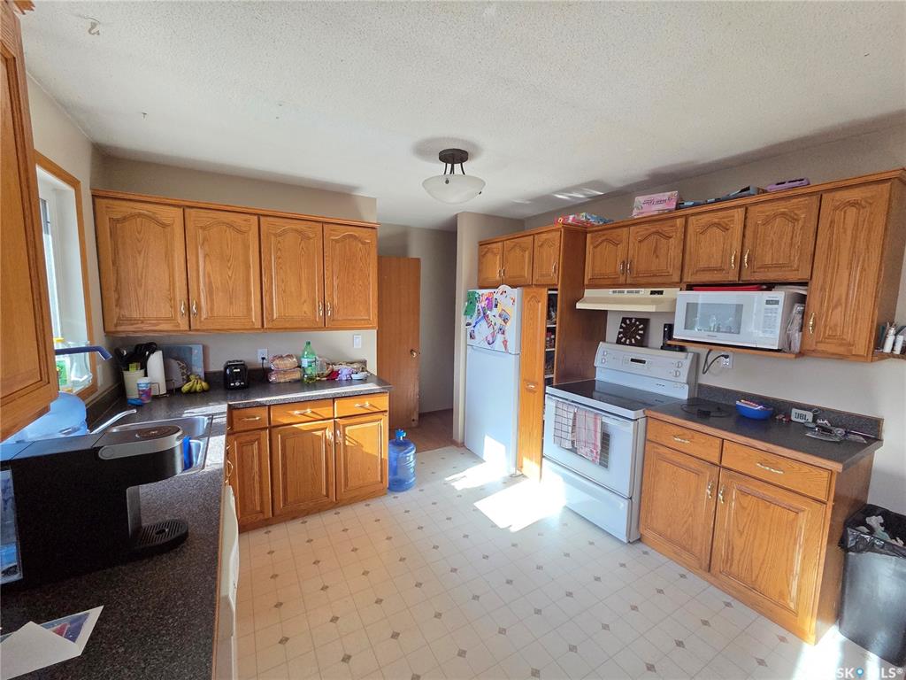 Fourth View of 12 Mountain Drive, Carlyle, Saskatchewan, S0C 0R0