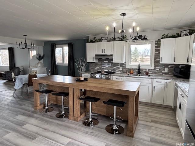 Third View of Pawliw Acreage, Preeceville Rm No. 334, Saskatchewan, S0A 3B0