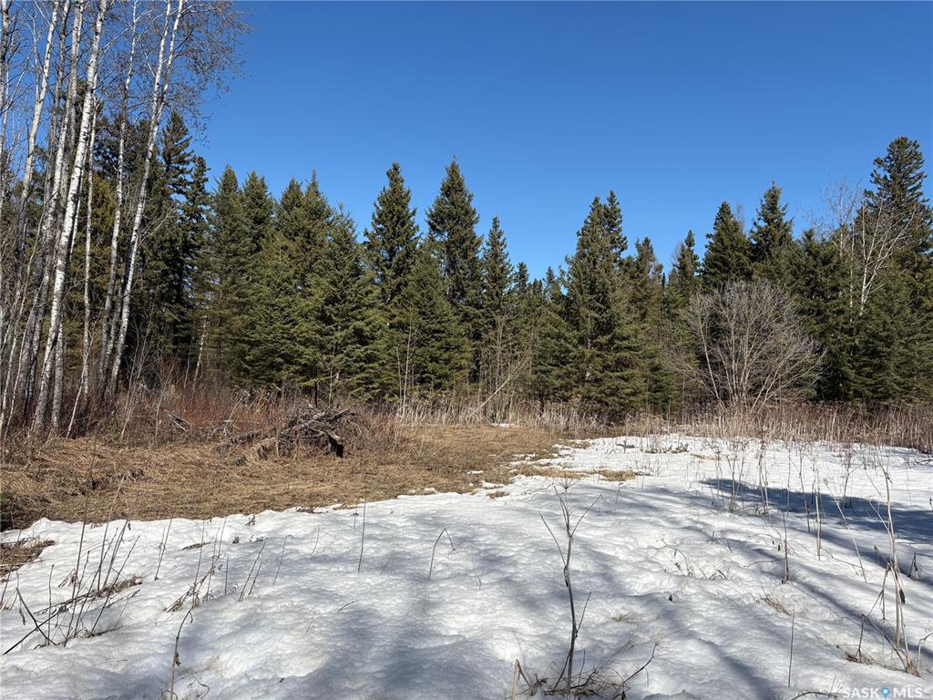 Delaronde Lake 30 Acres Forest, SK035018, Saskatchewan,