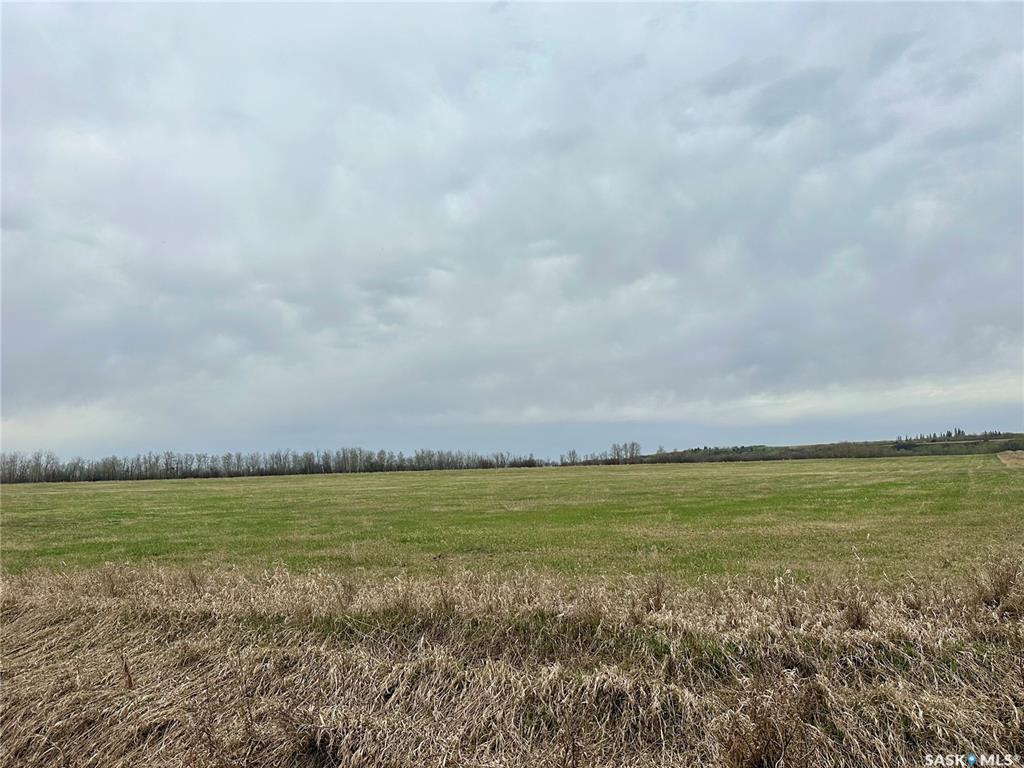 Third View of Jackfish Lakefront 40+ Acres, Meota Rm No.468, Saskatchewan, S0M 1X0