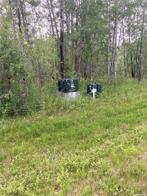 Second View of 10 Acre Delaronde Lake Acreage, Lakeside, Big River Rm No. 555, Saskatchewan, S0J 0E0