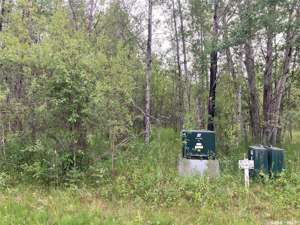 Third View of 10 Acre Delaronde Lake Acreage, Lakeside, Big River Rm No. 555, Saskatchewan, S0J 0E0