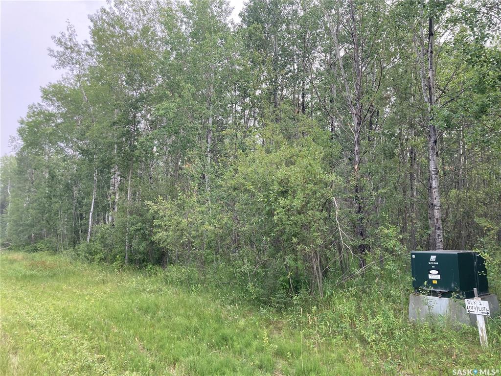 Fourth View of 10 Acre Delaronde Lake Acreage, Lakeside, Big River Rm No. 555, Saskatchewan, S0J 0E0
