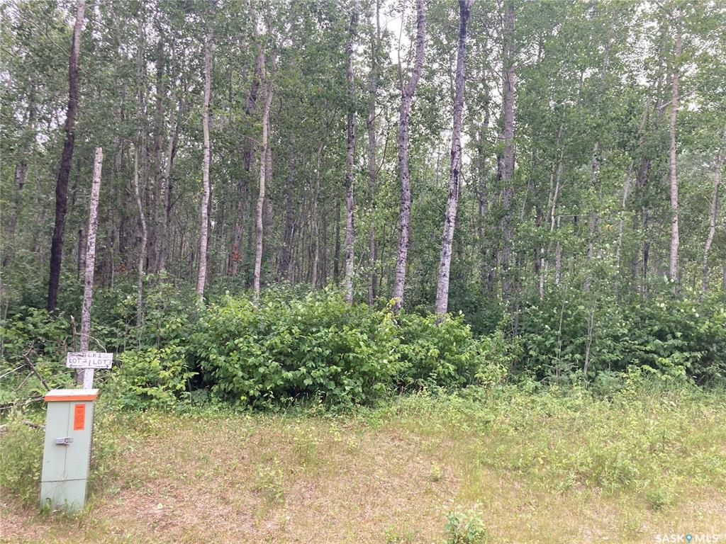 Fifth View of 10 Acre Delaronde Lake Acreage, Lakeside, Big River Rm No. 555, Saskatchewan, S0J 0E0