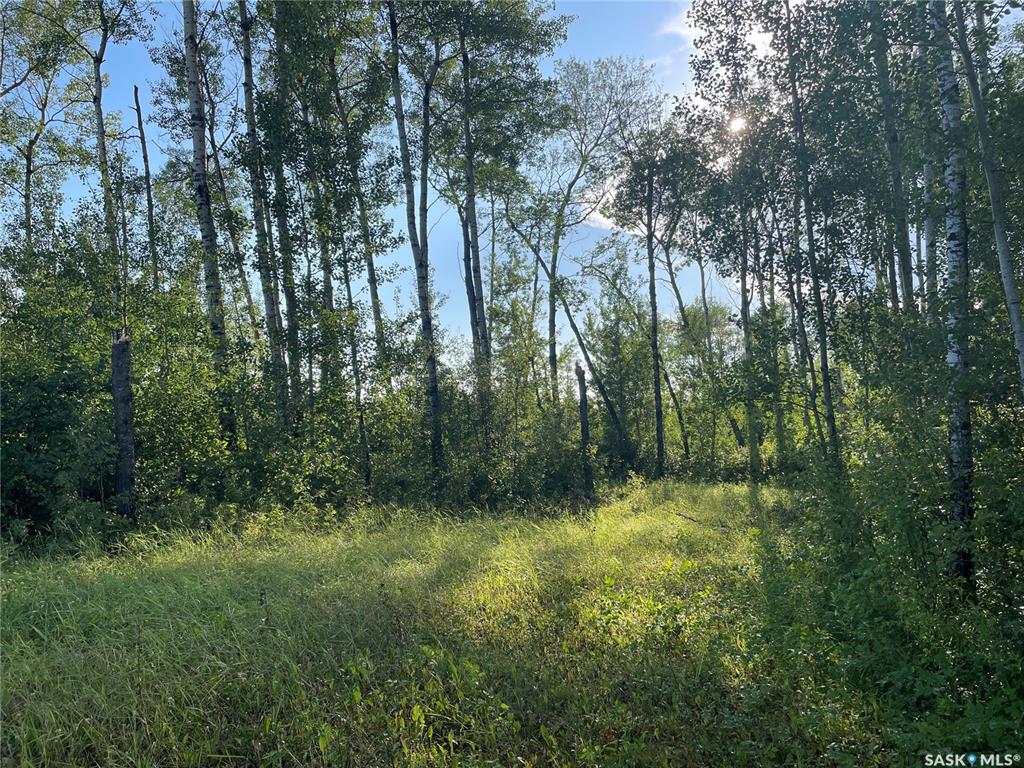 9 Northwood CRESCENT, SK035789, Saskatchewan,