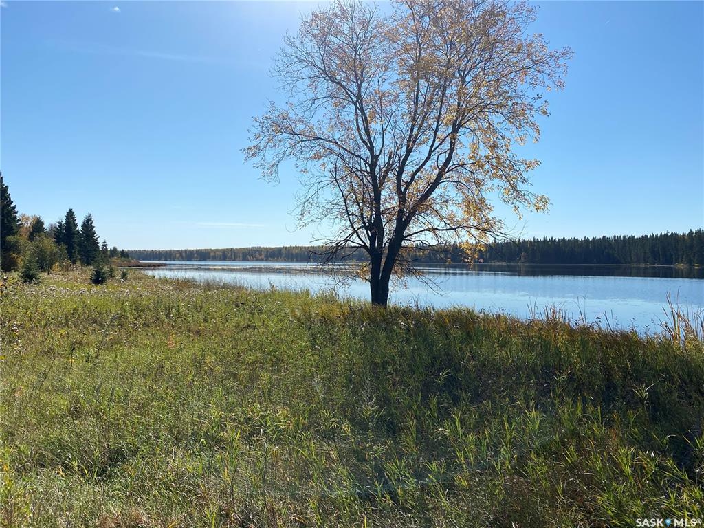 Fifth View of 338 Johnson Avenue, Big River, Saskatchewan, S0J 0E0