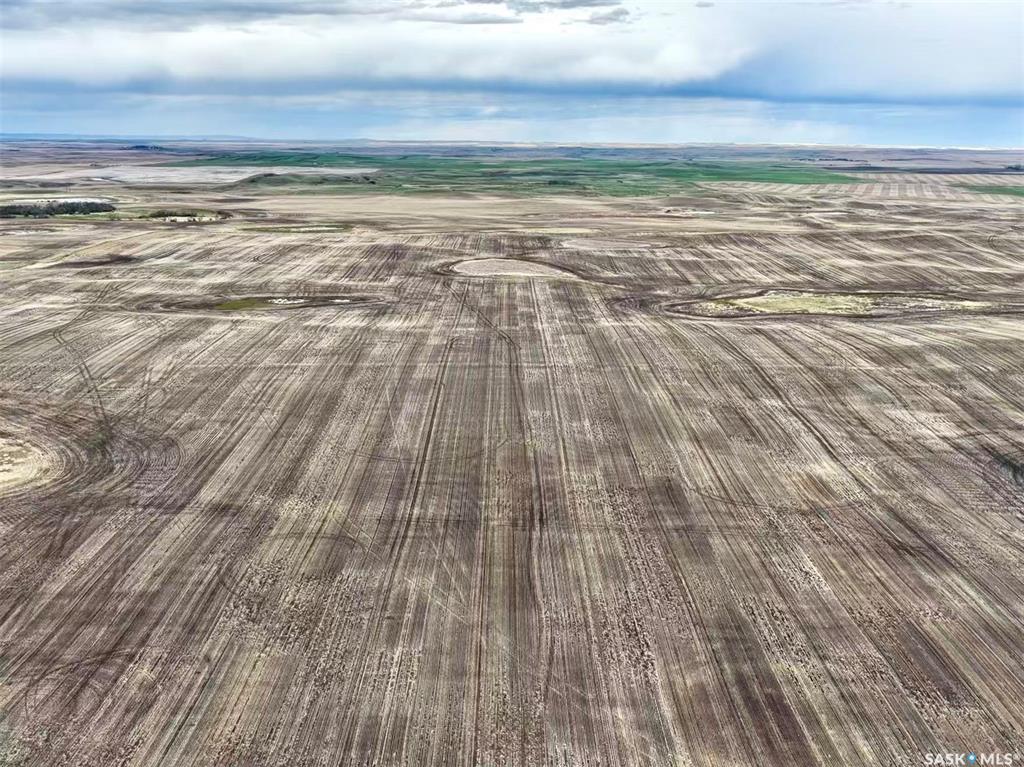 Ogema Farms, SK037259, Saskatchewan,