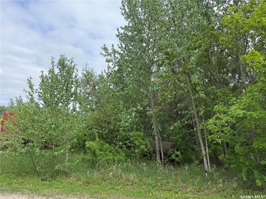 Fourth View of LaRose Acreage, Torch River Rm No. 488, Saskatchewan, S0J 3B0