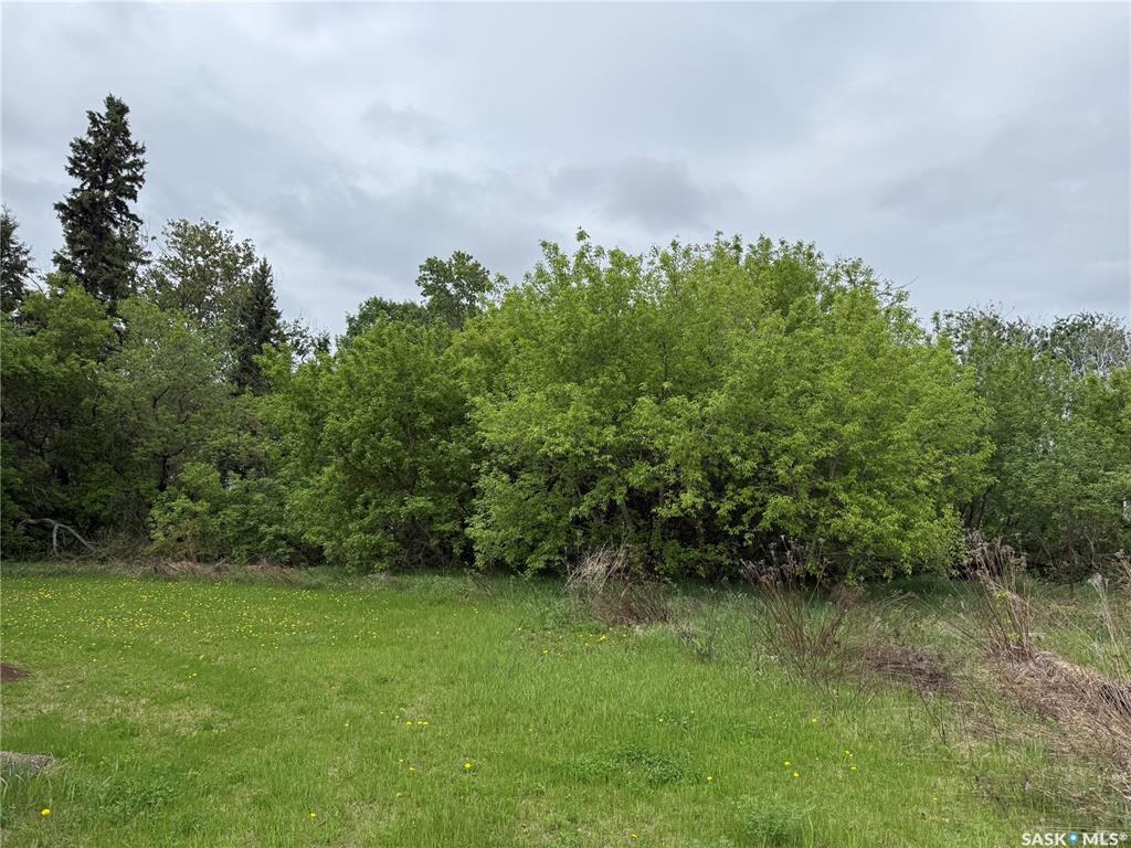 Fifth View of LaRose Acreage, Torch River Rm No. 488, Saskatchewan, S0J 3B0