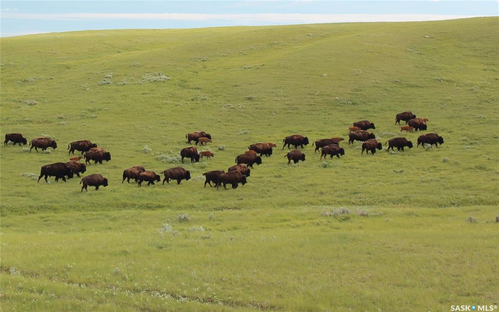 925 Acres Pasture Near Admiral, SK038623, Saskatchewan,