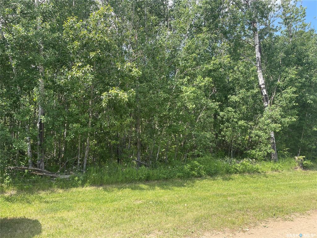 7 Fresno Street, SK039319, Saskatchewan,