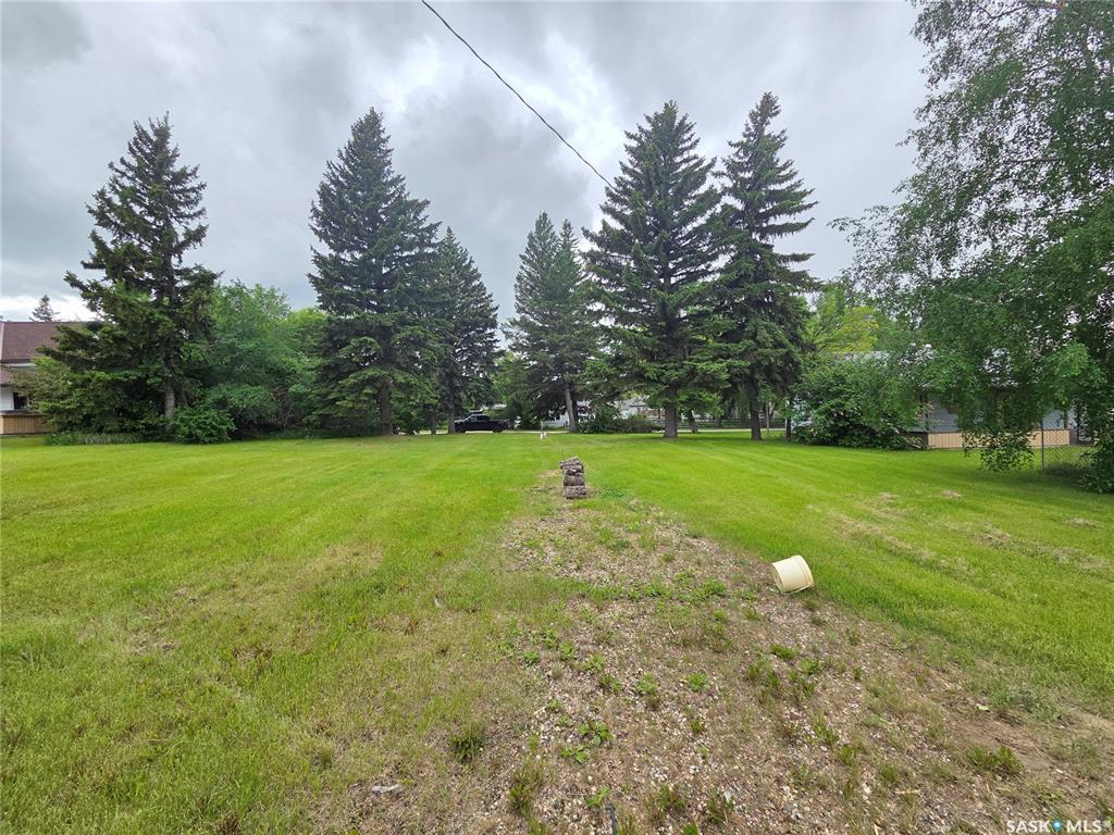 29 Newcombe Street, SK039322, Saskatchewan,