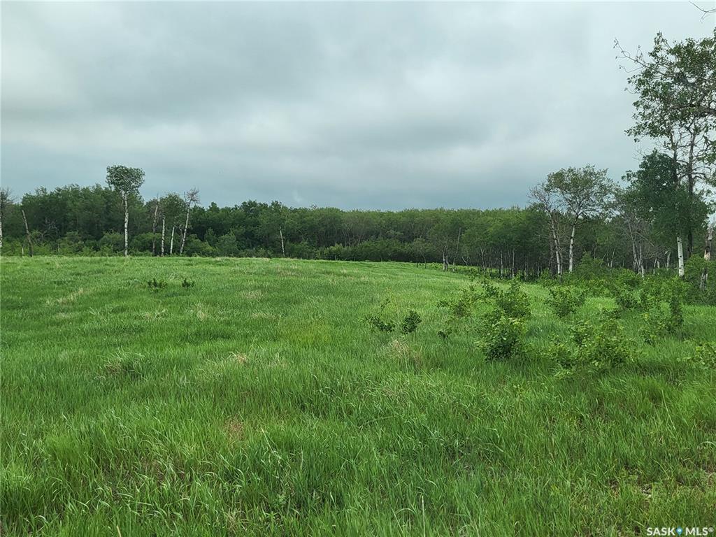 RM 344 Corman Park 79.7 acres Building Site, SK039496, Saskatchewan,