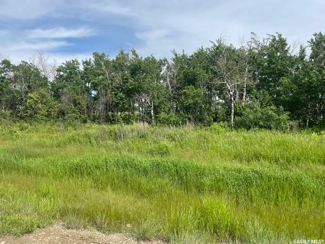 Lot 6 Viceroy Road, SK039959, Saskatchewan,
