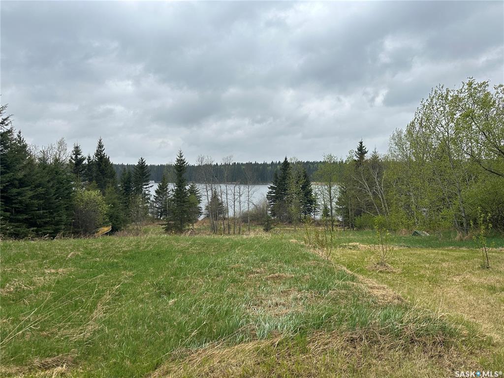 5 6 1st Avenue N, SK040044, Saskatchewan,