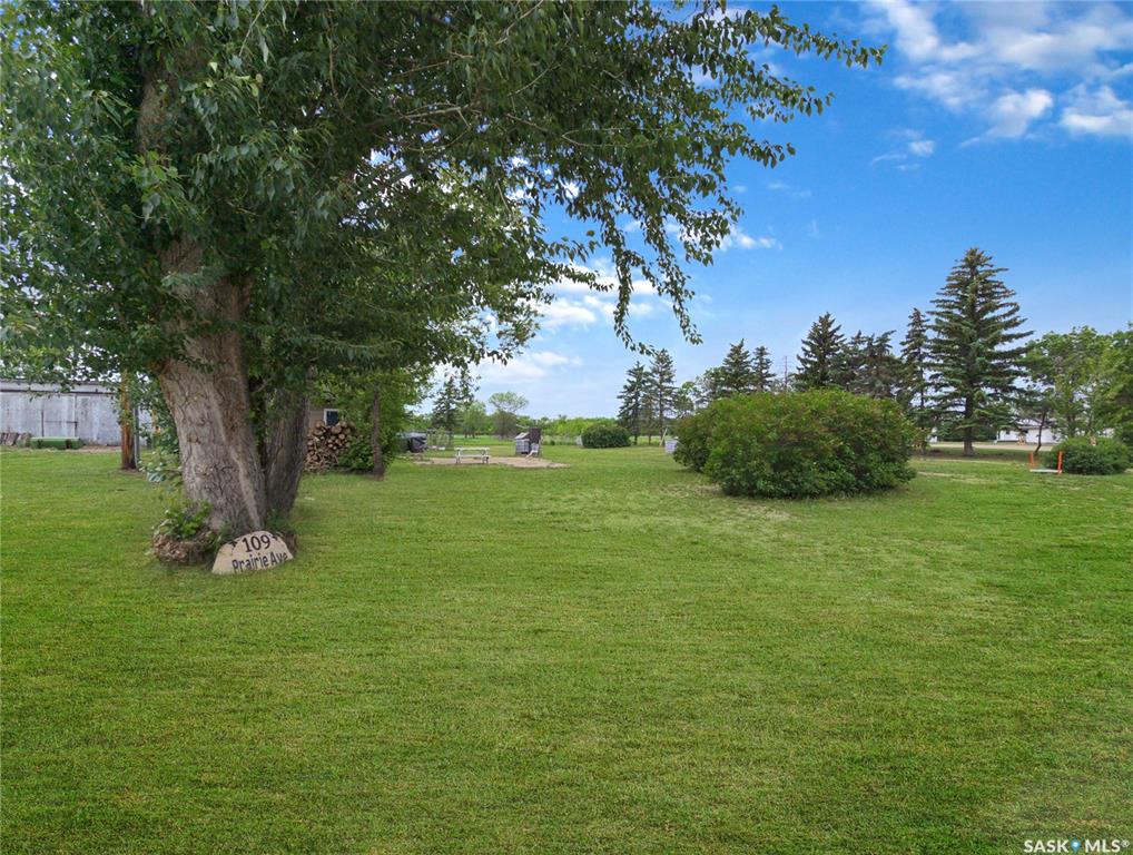 MLS® listing #SK040244 for sale located at 109 Prairie Avenue