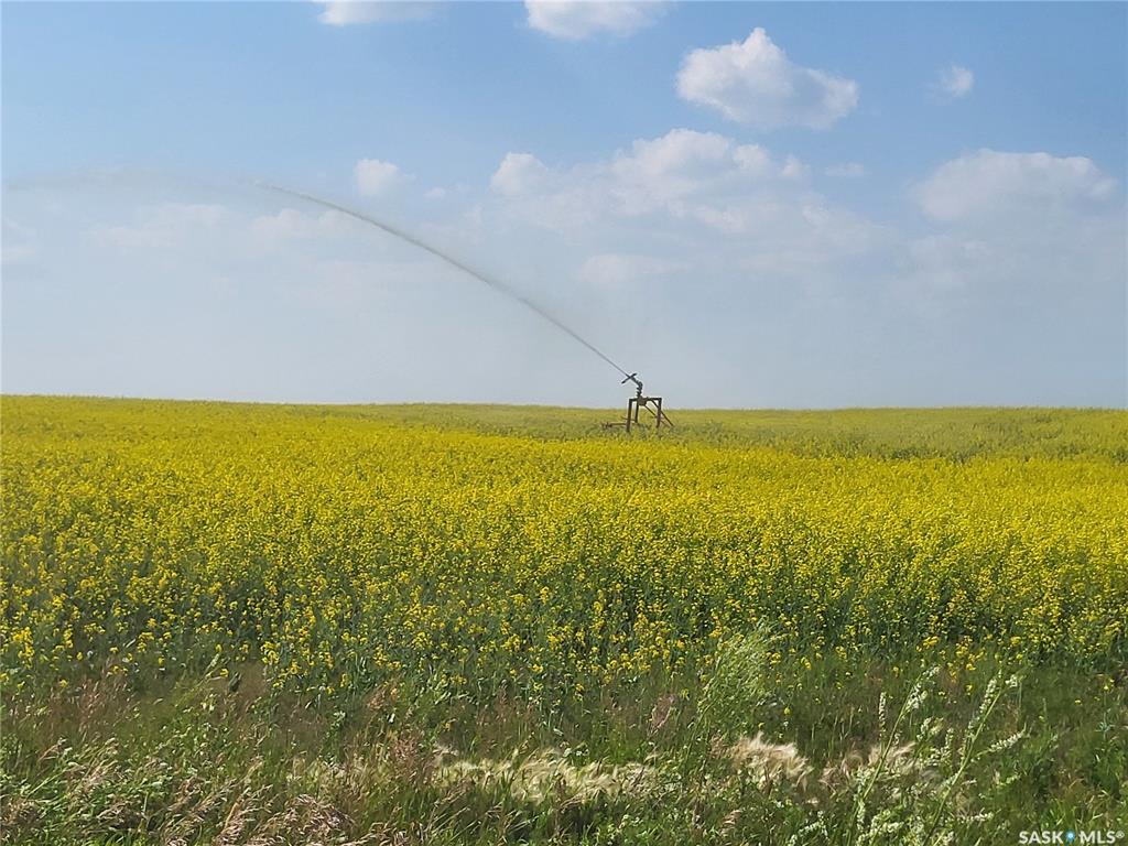 Battleford 619 acres Grain Farmland w/ Irrigation, SK040265, Saskatchewan,