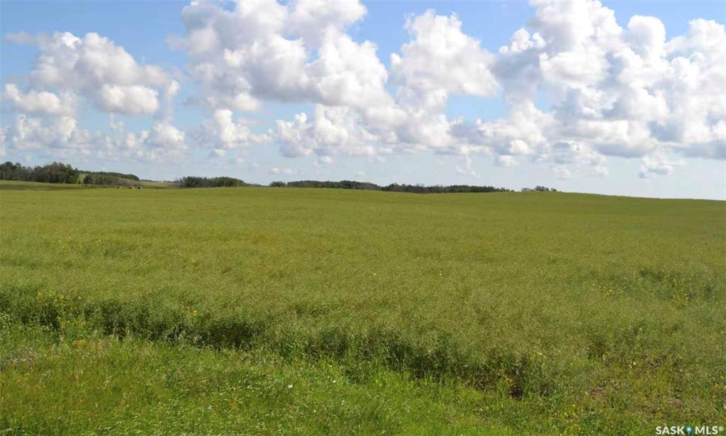 Ituna 5 Quarter Farm, SK040662, Saskatchewan,