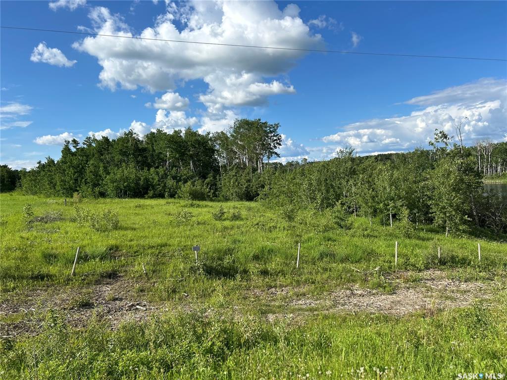 Fifth View of St. Brieux 70 Acre Parcel, Lake Lenore Rm No. 399, Saskatchewan, S0K 3V0