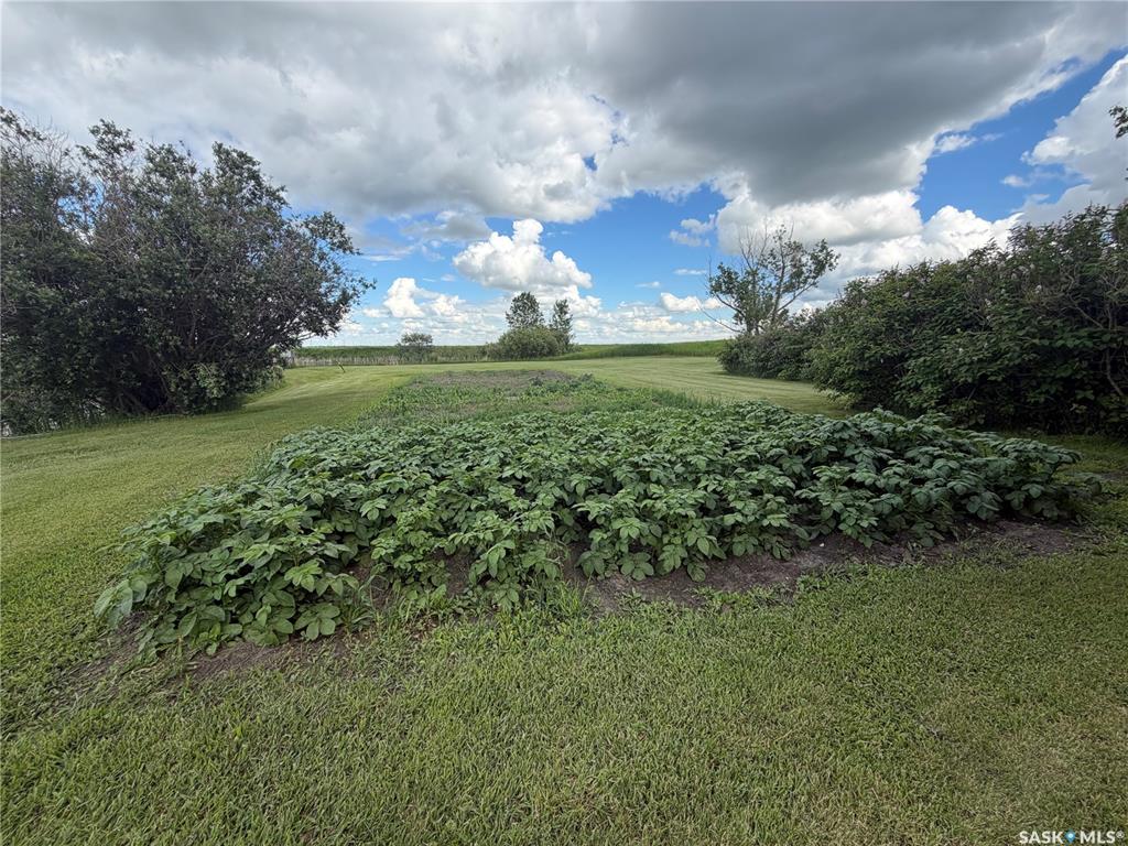 Fifth View of Pollock Acreage. 9 acres RM of Fillmore, Fillmore Rm No. 96, Saskatchewan, S0G 1N0