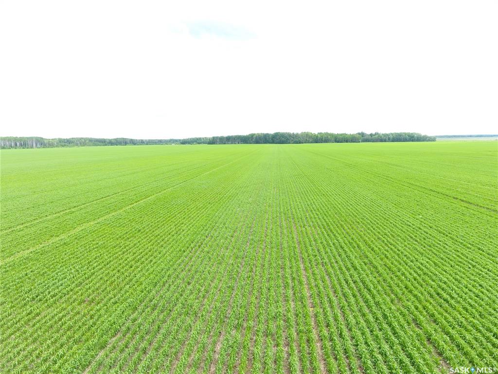 Brick Land, SK041212, Saskatchewan,