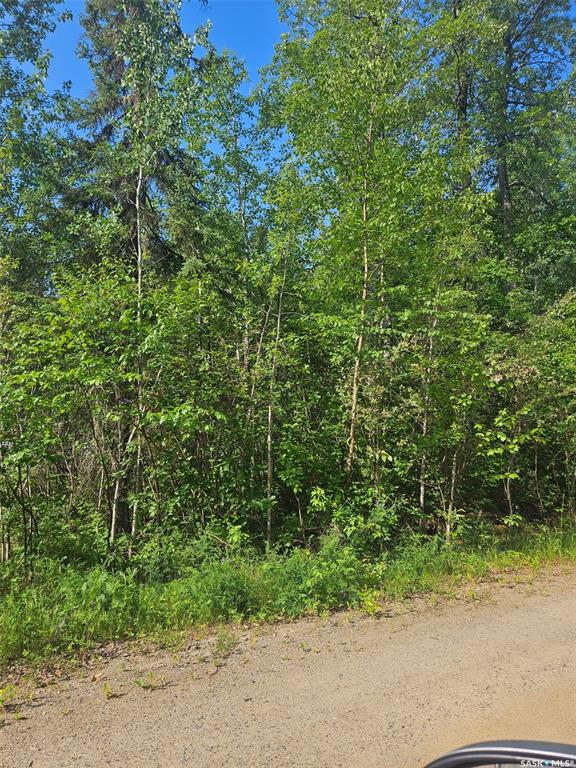 Fourth View of 908 Lynx Place, Northern Admin District, Saskatchewan, S0J 3G0