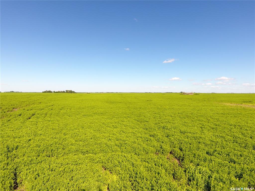 MLS® listing #SK041609 for sale located at Neels Land