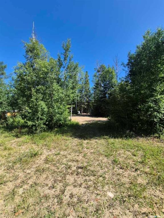 133 Birchwood Avenue, SK042580, Saskatchewan,