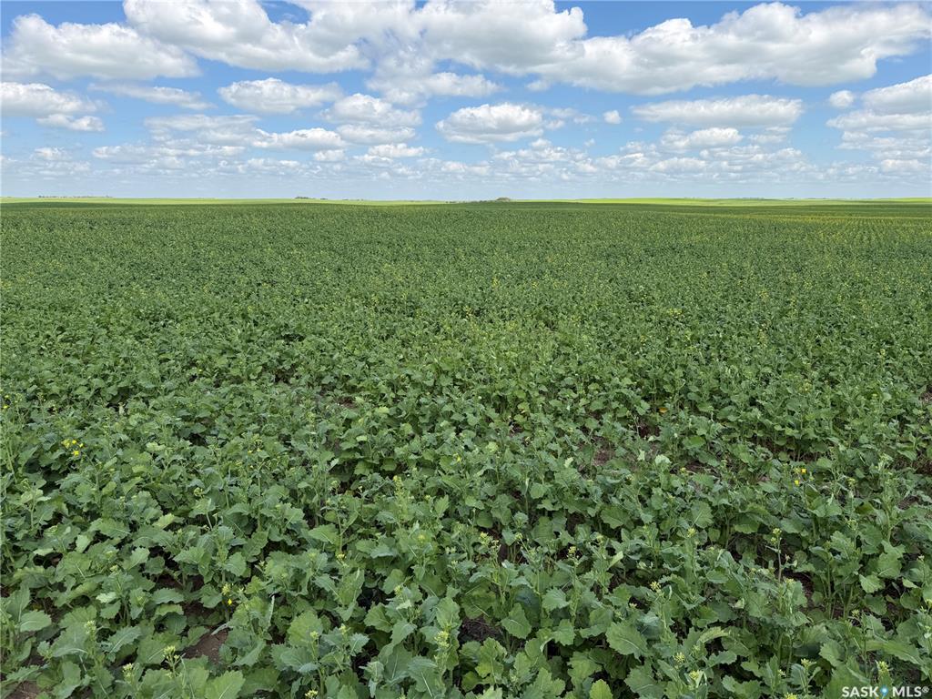 Semans 961 acres Grain Farmland, SK042657, Saskatchewan,