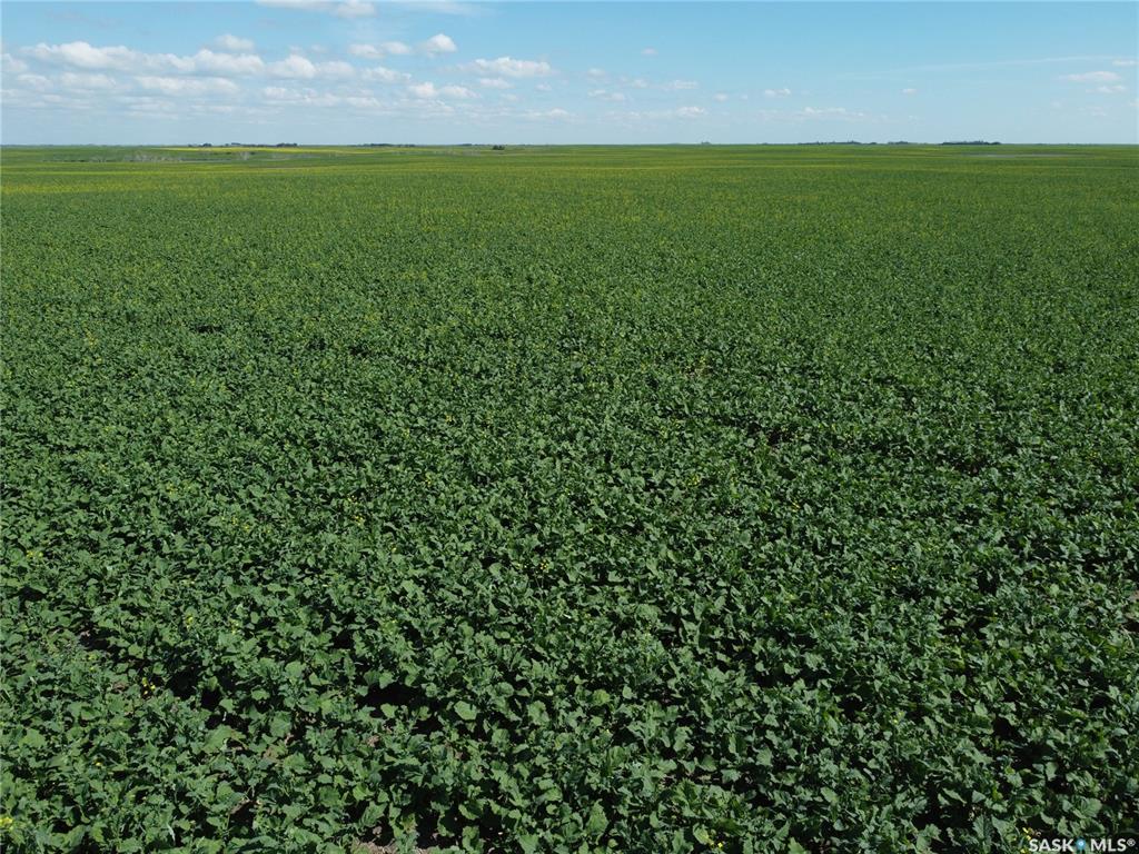 Third View of Semans 961 acres Grain Farmland, Mount Hope Rm No. 279, Saskatchewan, S0A 3S0