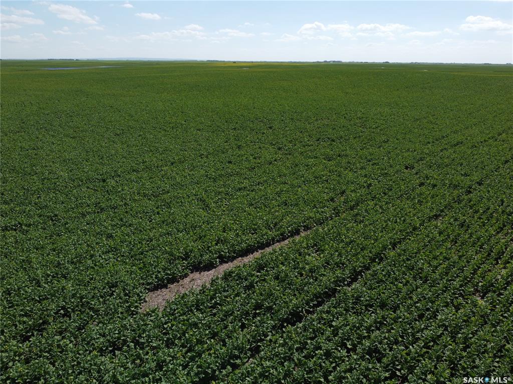 Fourth View of Semans 961 acres Grain Farmland, Mount Hope Rm No. 279, Saskatchewan, S0A 3S0