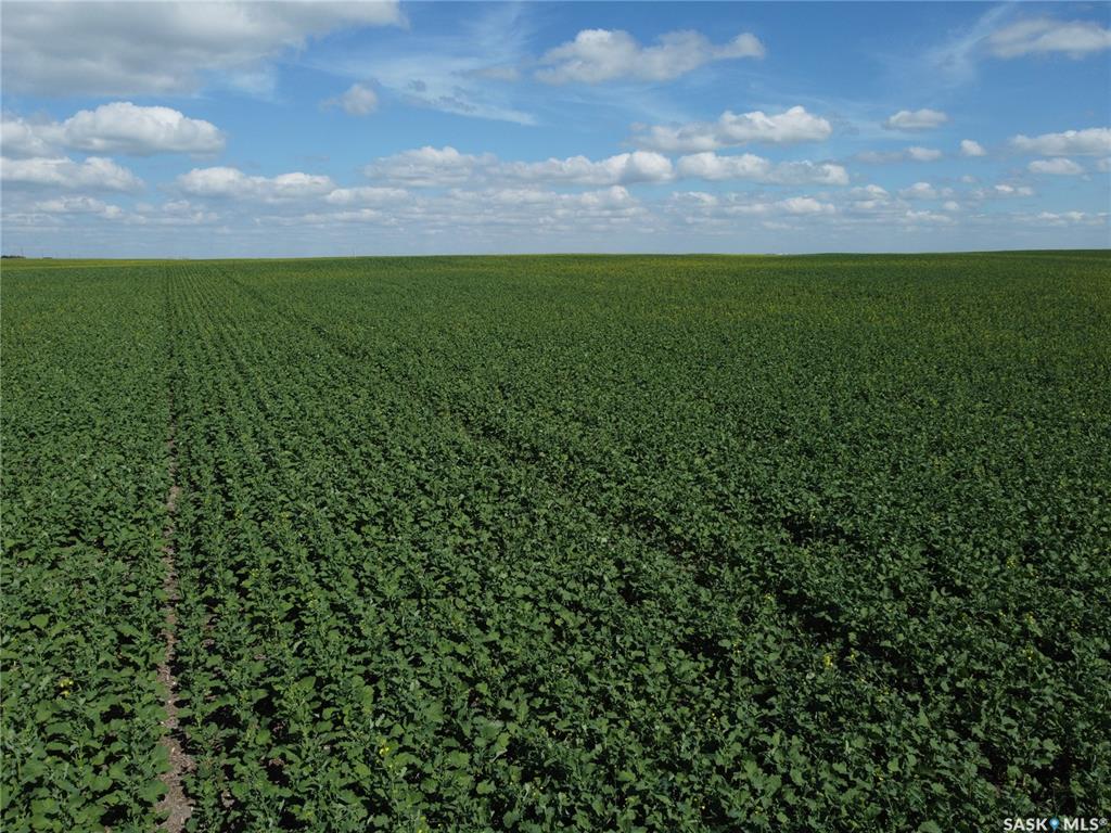 Fifth View of Semans 961 acres Grain Farmland, Mount Hope Rm No. 279, Saskatchewan, S0A 3S0