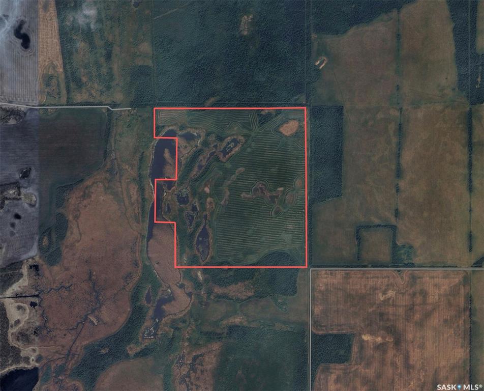 Lake Lenore Quarter, SK042801, Saskatchewan,