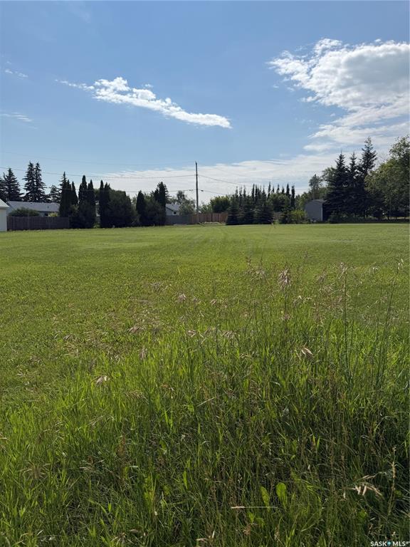 Fourth View of 112 4th Street, Birch Hills, Saskatchewan, S0J 0G0