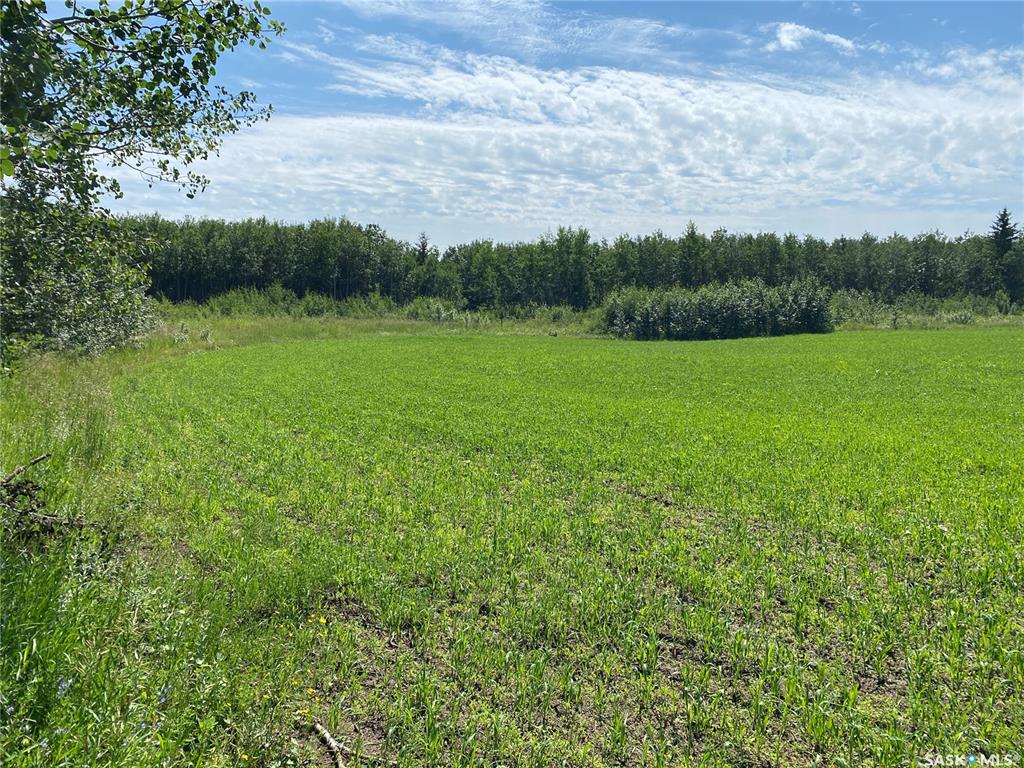 Third View of Leask Farm, Leask Rm No. 464, Saskatchewan, S0J 1M0
