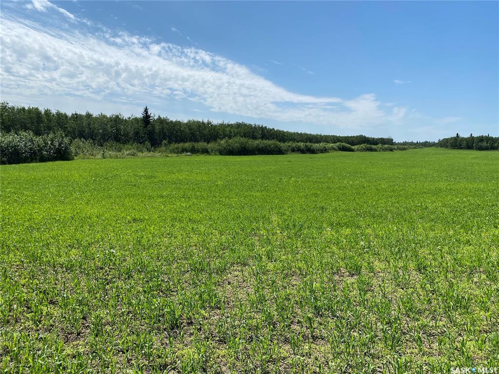 Fourth View of Leask Farm, Leask Rm No. 464, Saskatchewan, S0J 1M0