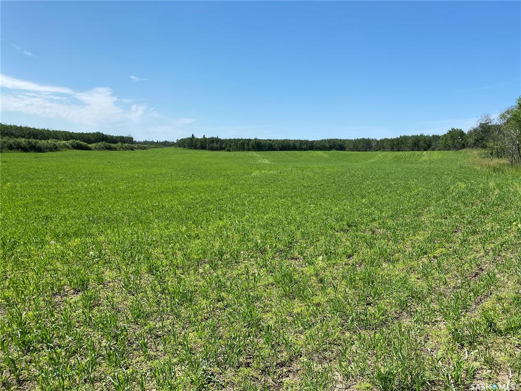 Fifth View of Leask Farm, Leask Rm No. 464, Saskatchewan, S0J 1M0