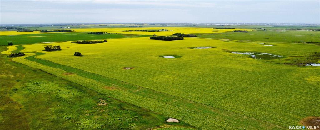 Saskatoon 159 acs Grain Farmland, SK043117, Saskatchewan,