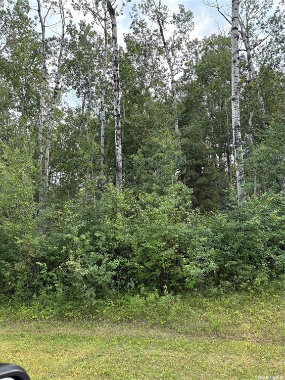 9 Wilson Crescent, SK043694, Saskatchewan,